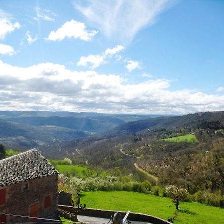 L 'Oustal De Sophie En Aveyron, A Montjaux Villa Buitenkant foto