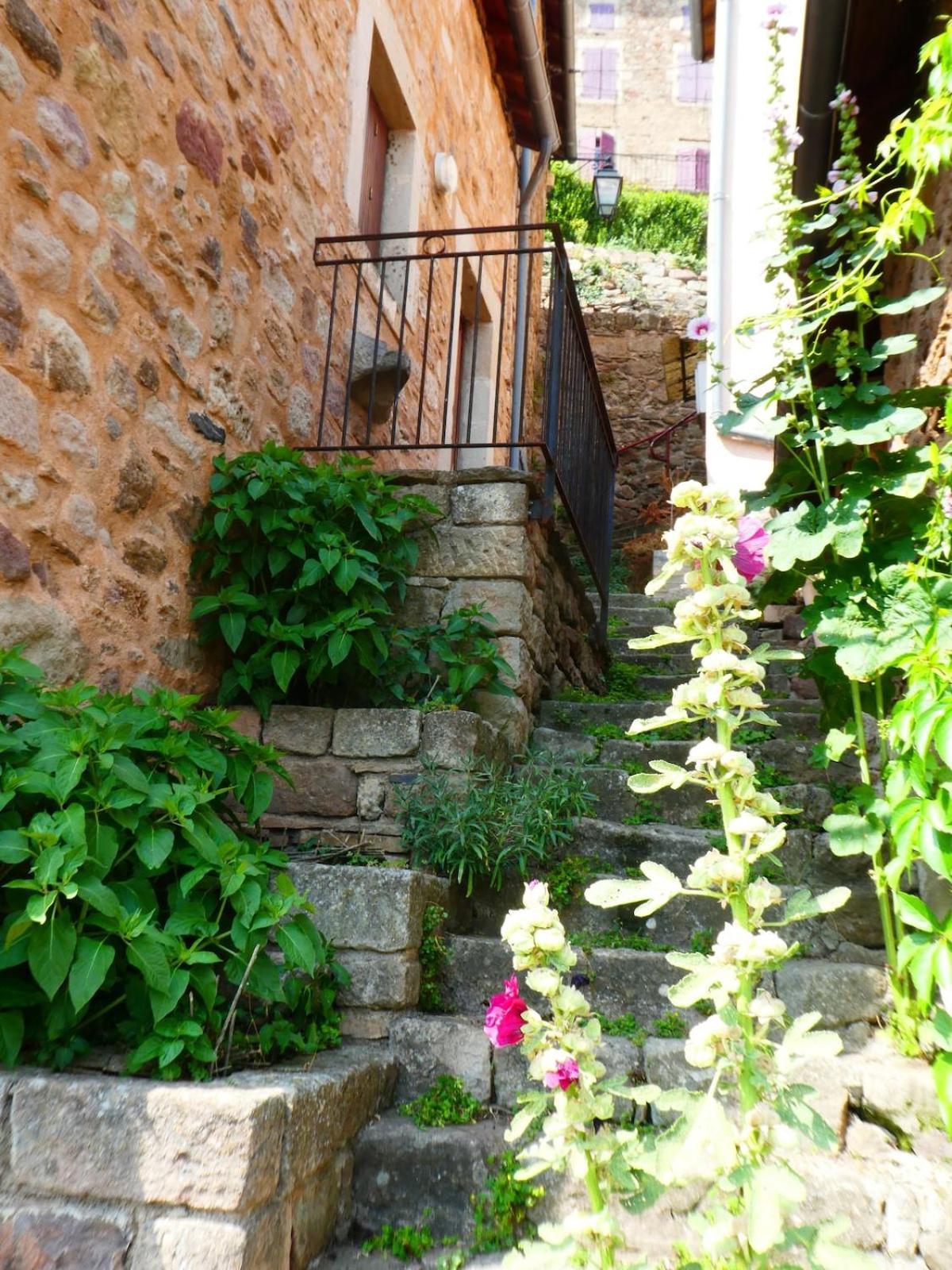 L 'Oustal De Sophie En Aveyron, A Montjaux Villa Buitenkant foto